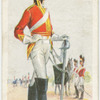 2nd (Royal North British) Dragoons (Scots Greys) (1813). The Royal Scots Greys (2nd Dragoons).