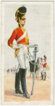 2nd (Royal North British) Dragoons (Scots Greys) (1813). The Royal Scots Greys (2nd Dragoons).