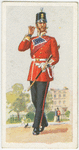 The 23rd Foot (1856).  The Royal Welch Fusilliers.