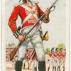 The 50th Foot (1807).  The Queen's Own Royal West Kent Regiment.