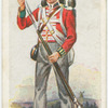The 690th (South Lincolnshire) (1815).  The Welch Regiment.