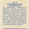 Santos-Dumont "Demoiselle".