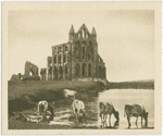 Whitby.