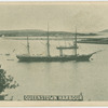 Queenstown Harbour.