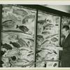 Exhibit of fish at Vanderbilt Museum, Center Port, New York