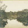 One of the bayous of the Woodhouse Water Garden