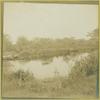 One of the bayous of the Woodhouse Water Garden