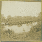 One of the bayous of the Woodhouse Water Garden