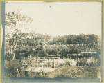 Two footbridges at Woodhouse Water Garden