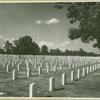 Long Island National Cemetery