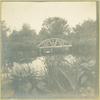 Footbridge in Woodhouse Water Garden