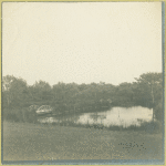 Woodhouse Water Garden, East Hampton, Long Island