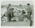 Fishermen in boat with catch