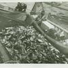 Fishermen bringing in a catch