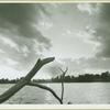Lake Success