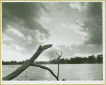 Lake Success