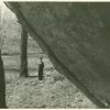Shelter Rock