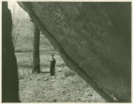 Shelter Rock