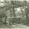 Slat fence and old turnstile
