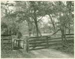 Slat fence and old turnstile