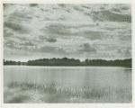 Artist Lake