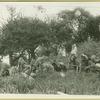 Indians stealing on Dutch settlers
