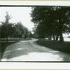 William K. Vanderbilt's Idle Hour Estate, Oakdale, L.I. [Dirt path]