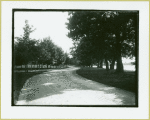 William K. Vanderbilt's Idle Hour Estate, Oakdale, L.I. [Dirt path]