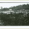 William K. Vanderbilt's Idle Hour Estate, Oakdale, L.I. [Flowers]