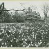 Bayard cutting arboretum
