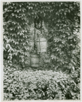 The old well at Fort Hill