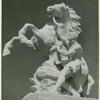 Man holding the bridle of a horse on its hind legs