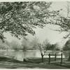 Early May morning in Roslyn Park