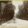 North Broadway, Saratoga Springs, N.Y.