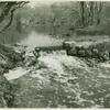 Small brook in Seaford, New York