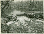 Small brook in Seaford, New York