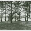 Trees and unidentified body of water in Southampton