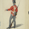 France, 1805-1814