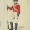 France, 1805-1814