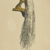 France, 1860