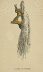 France, 1860