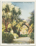 The Scilly Isles.