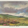 Dartmoor, Deon.