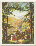 The Rheidol Valley, Cardiganshire.