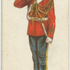 Trumpeter. Scots Greys.