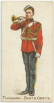 Trumpeter. Scots Greys.