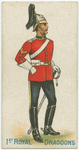 1st Royal Dragoons.