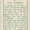 Fox terrier and puppies.