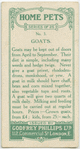 Goats.