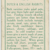 Dutch and English rabbits.
